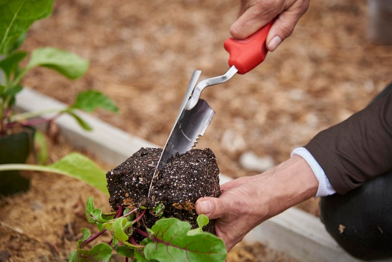 Corona Stainless Steel ComfortGEL Transplanter, red - Image 4